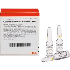 Calcium carbonicum-Injeel® forte Ampullen