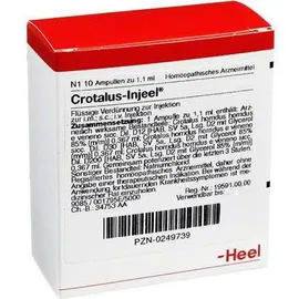 Crotalus-Injeel® Ampullen