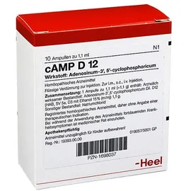 cAMP D12 Ampullen
