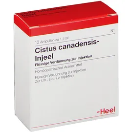 Cistus canadensis-Injeel® Ampullen