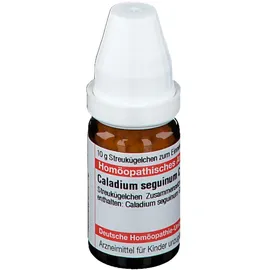 DHU Caladium Seguinum C6