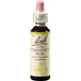 Original Bachblüten Chestnut Bud