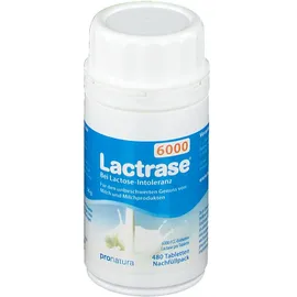 Lactrase 6000 Fcc Tabletten Klickspender Nachfüllpack
