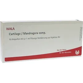 Cartilago/Mandragora comp. Ampullen
