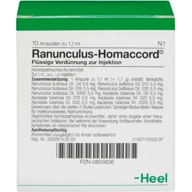RANUNCULUS HOMACCORD Ampullen