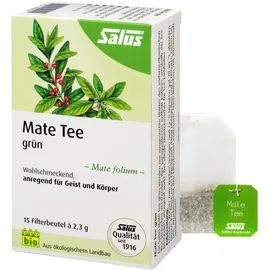Salus Mate Tee grün Kräutertee Mate folium Bio
