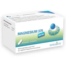Magnesium 375 Forte Kapseln