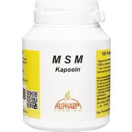 MSM KAPSELN 500 mg