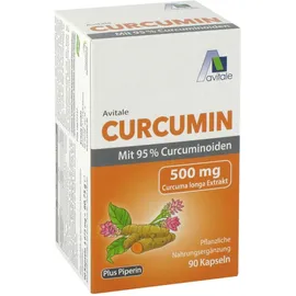 CURCUMIN 500 mg mit 95% Curcuminoiden