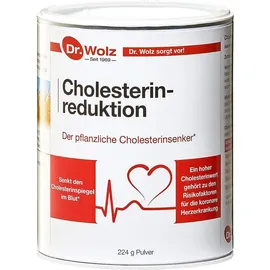 Cholesterinreduktion Dr.Wolz 224 G  Pulver