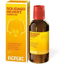 Solidago Hevert Complex Tropfen 50 ml Tropfen