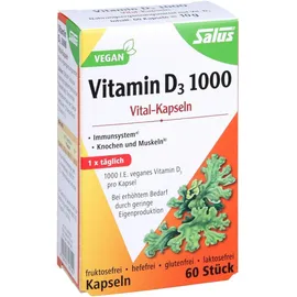 Vitamin D3 1.000 vegan 60 Vital-Kapseln Salus