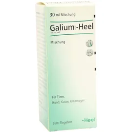 Galium Comp. Heel 30 ml Tropfen Für Hunde und Katzen Und...