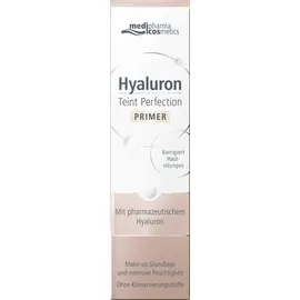 HYALURON Teint Perfection Primer