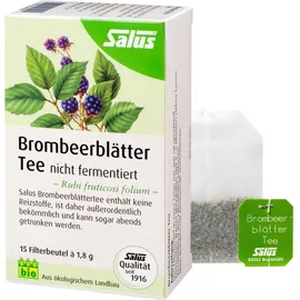 Salus Brombeerblätter Tee nicht fermentiert