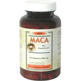 MACA Kapseln 850 mg Macawurzelpulv.a.Ökoanbau