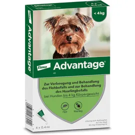 ADVANTAGE 40 Lösung für Hunde bis 4 kg