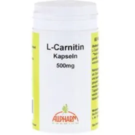 L-Carnitin 500 Kapseln 60 St