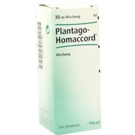 Plantago Homaccord Tropfen 30 ml