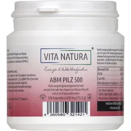 Aagaricus Blazei Murill (Abm) 500 mg