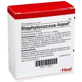 Staphylococcus-Injeel® Ampullen
