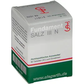 Fundament-Salz III N