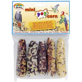 Mini Pop Corn