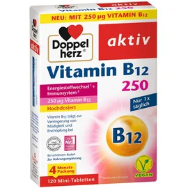Doppelherz® Vitamin B12 250