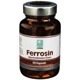 Ferrosin Eisen 14 mg 60 Kapseln