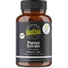 Papaya Extrakt Bio