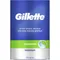 Bild 1 für Gillette - After 'Shave Splash Cool Wave'